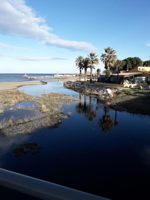 Banyuls La Grande Bleue : Studio T1 Экстерьер фото