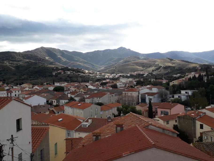 Banyuls La Grande Bleue : Studio T1 Экстерьер фото