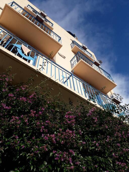Banyuls La Grande Bleue : Studio T1 Экстерьер фото
