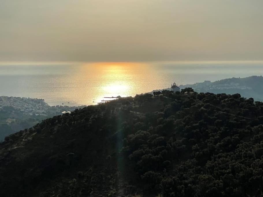 Banyuls La Grande Bleue : Studio T1 Экстерьер фото