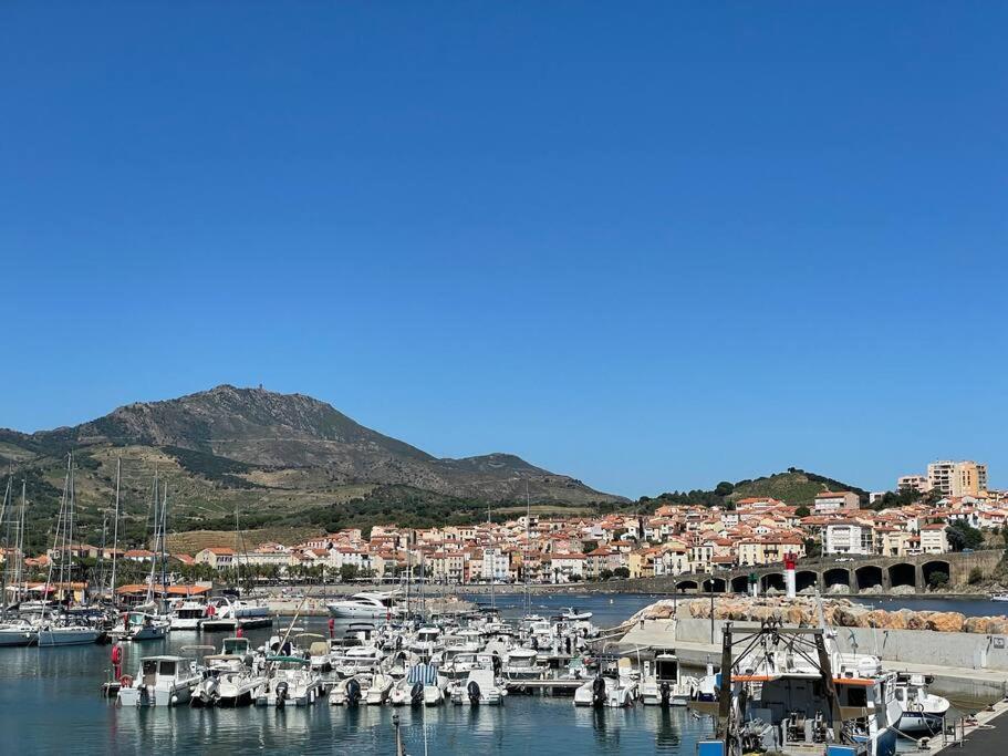 Banyuls La Grande Bleue : Studio T1 Экстерьер фото